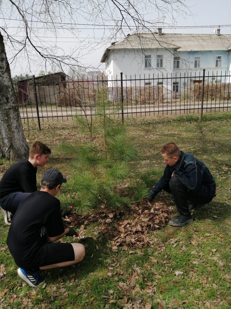 17 — Муниципальное бюджетное общеобразовательное учреждение 